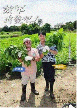 未成年日剧收视率数据配图